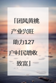 团风黄桃产业兴旺 助力127户村民增收致富
