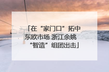 在“家门口”拓中东欧市场 浙江余姚“智造”组团出击
