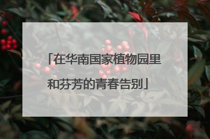 在华南国家植物园里和芬芳的青春告别