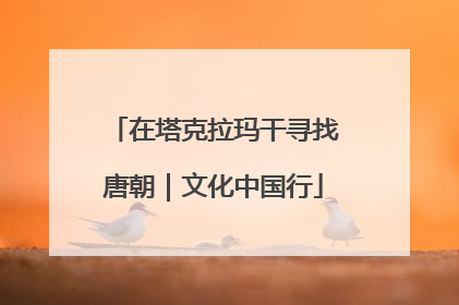 在塔克拉玛干寻找唐朝｜文化中国行