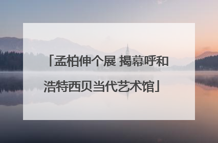 孟柏伸个展 揭幕呼和浩特西贝当代艺术馆