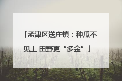 孟津区送庄镇：种瓜不见土 田野更“多金”