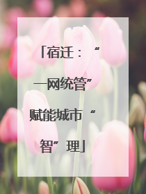 宿迁：“一网统管”赋能城市“智”理
