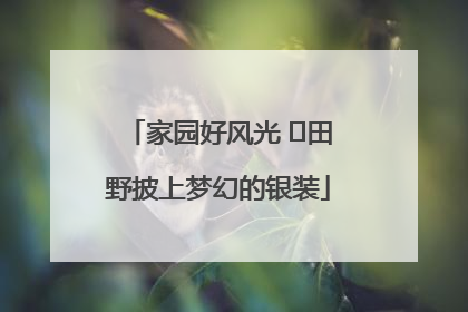 家园好风光 ⎮田野披上梦幻的银装
