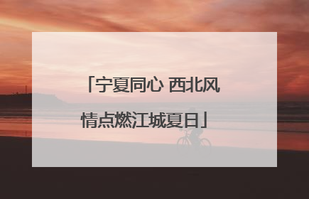 宁夏同心 西北风情点燃江城夏日
