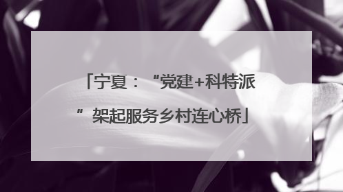 宁夏：“党建+科特派”架起服务乡村连心桥