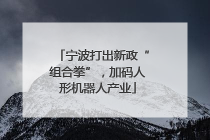 宁波打出新政“组合拳”，加码人形机器人产业