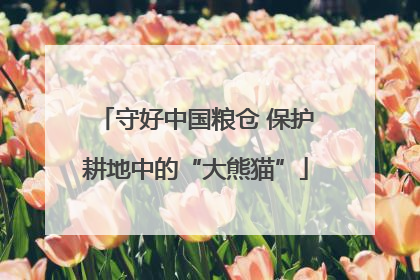 守好中国粮仓 保护耕地中的“大熊猫”