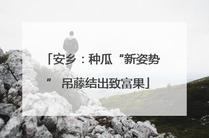 安乡：种瓜“新姿势” 吊藤结出致富果