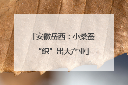 安徽岳西：小桑蚕“织”出大产业