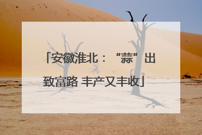 安徽淮北：“蒜”出致富路 丰产又丰收