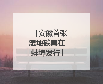 安徽首张湿地碳票在蚌埠发行