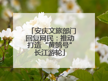 安庆文旅部门回复网民：推动打造“黄鹄号”长江游轮