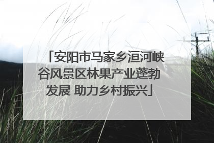 安阳市马家乡洹河峡谷风景区林果产业蓬勃发展 助力乡村振兴