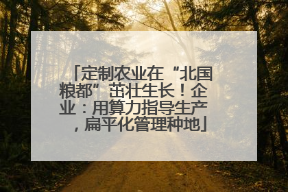 定制农业在“北国粮都”茁壮生长！企业：用算力指导生产，扁平化管理种地