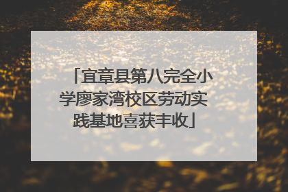 宜章县第八完全小学廖家湾校区劳动实践基地喜获丰收