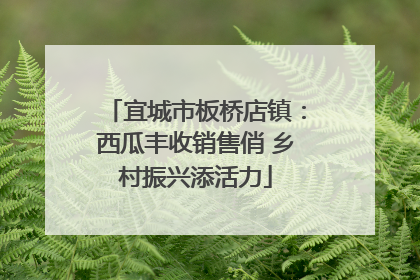 宜城市板桥店镇：西瓜丰收销售俏 乡村振兴添活力