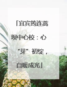 宜宾筠连蒿坝中心校：心“芽”初绽，自暖成光