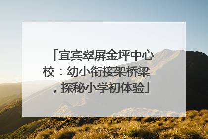 宜宾翠屏金坪中心校：幼小衔接架桥梁，探秘小学初体验
