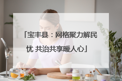 宝丰县：网格聚力解民忧 共治共享暖人心