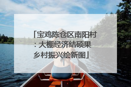 宝鸡陈仓区南阳村：大棚经济结硕果 乡村振兴绘新图