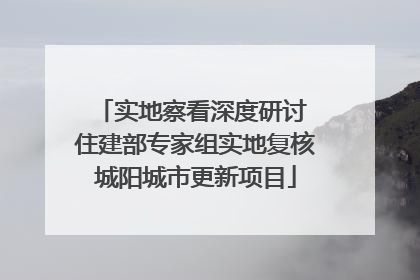 实地察看深度研讨 住建部专家组实地复核城阳城市更新项目