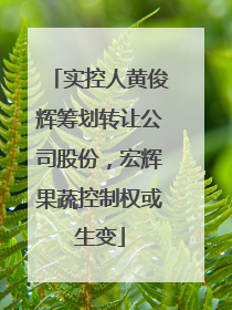 实控人黄俊辉筹划转让公司股份，宏辉果蔬控制权或生变