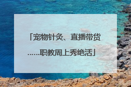 宠物针灸、直播带货……职教周上秀绝活