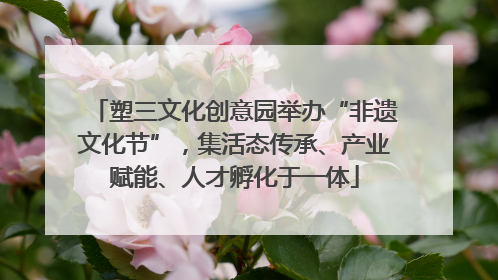 塑三文化创意园举办“非遗文化节”，集活态传承、产业赋能、人才孵化于一体