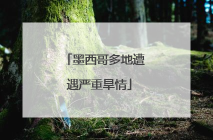 墨西哥多地遭遇严重旱情