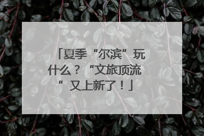夏季“尔滨”玩什么？“文旅顶流”又上新了！