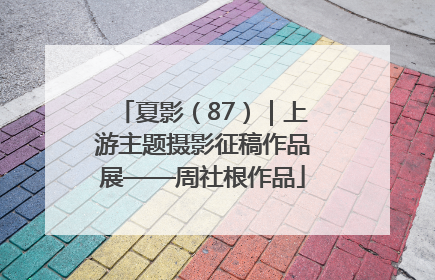 夏影（87）｜上游主题摄影征稿作品展——周社根作品
