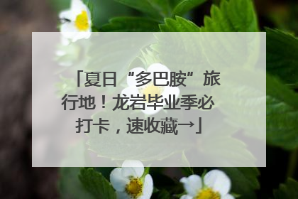 夏日“多巴胺”旅行地！龙岩毕业季必打卡，速收藏→