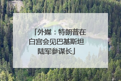 外媒：特朗普在白宫会见巴基斯坦陆军参谋长
