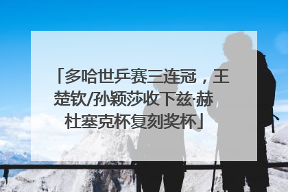 多哈世乒赛三连冠，王楚钦/孙颖莎收下兹·赫杜塞克杯复刻奖杯
