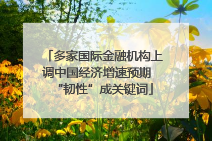 多家国际金融机构上调中国经济增速预期 “韧性”成关键词