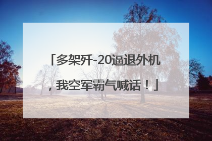 多架歼-20逼退外机，我空军霸气喊话！
