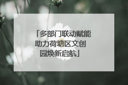 多部门联动赋能 助力荷塘区文创园焕新启航