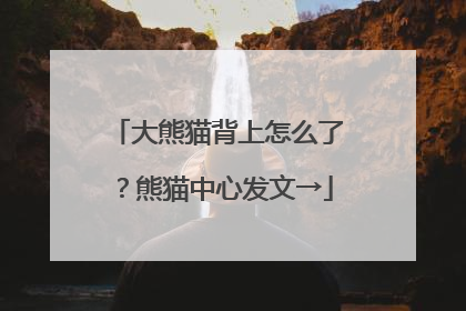 大熊猫背上怎么了？熊猫中心发文→