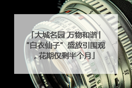 大城名园 万物和谐│“白衣仙子”盛放引围观，花期仅剩半个月
