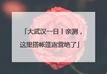 大武汉一日丨亲测，这里搭帐篷露营绝了