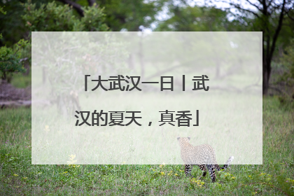 大武汉一日丨武汉的夏天，真香