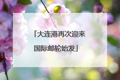 大连港再次迎来国际邮轮始发