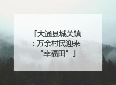 大通县城关镇：万余村民迎来“幸福田”