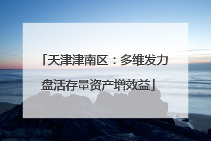天津津南区：多维发力盘活存量资产增效益