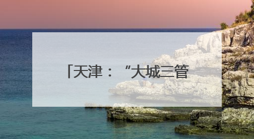 天津：“大城三管”提升城市气质