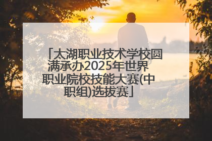 太湖职业技术学校圆满承办2025年世界职业院校技能大赛(中职组)选拔赛