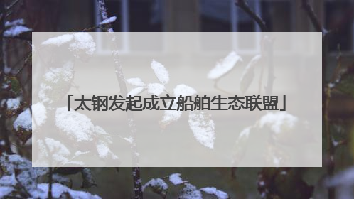 太钢发起成立船舶生态联盟