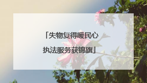 失物复得暖民心 执法服务获锦旗