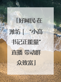 好网民·在潍坊｜“小高书记正能量”直播 带动群众致富